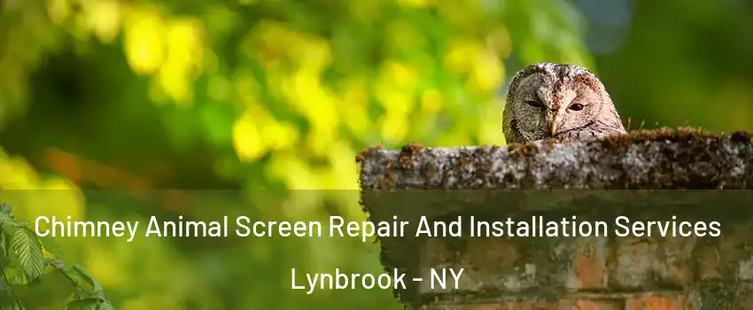  Chimney Animal Screen Repair And Installation Services Lynbrook - NY