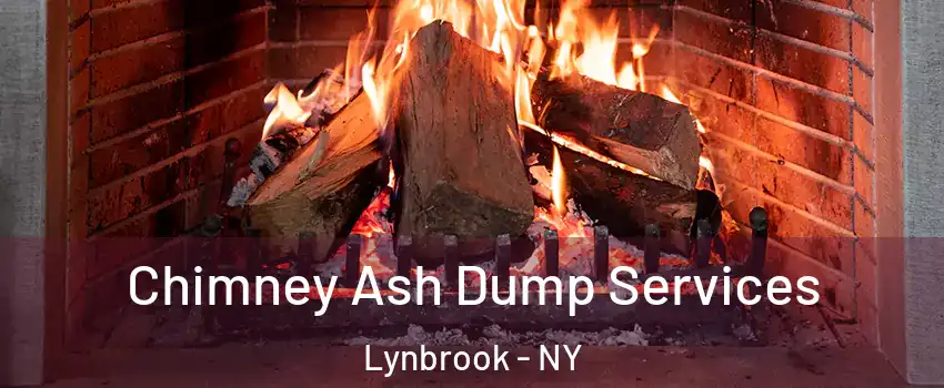  Chimney Ash Dump Services Lynbrook - NY