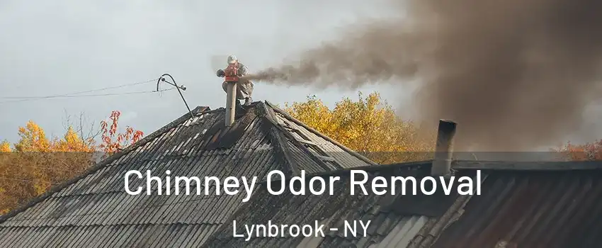  Chimney Odor Removal Lynbrook - NY