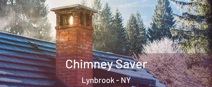  Chimney Saver Lynbrook - NY