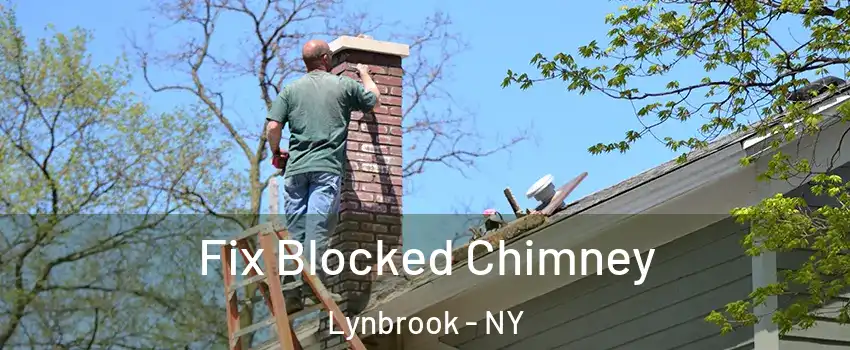  Fix Blocked Chimney Lynbrook - NY