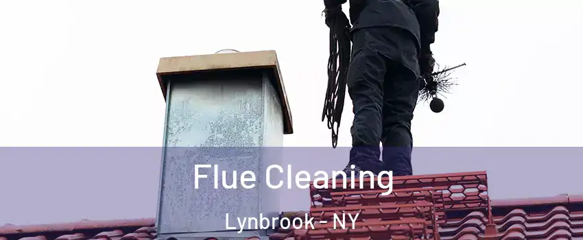  Flue Cleaning Lynbrook - NY